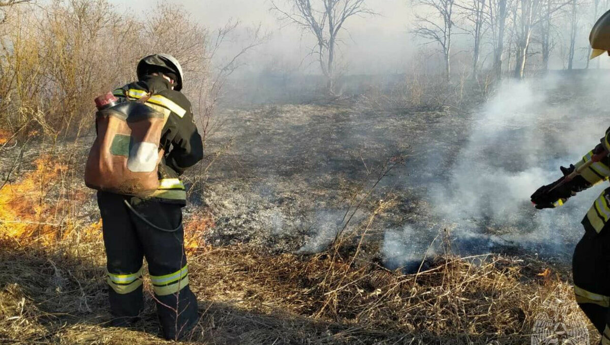     В Удмуртии за сутки с 13 по 14 апреля произошло восемь ландшафтных пожаров, в двух случаях виновников уже нашли. Об этом Udm-info рассказали в пресс-службе ГУ МЧС по региону.