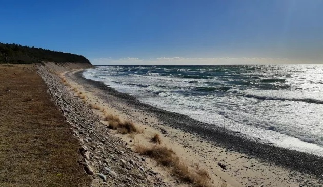 Готска Сандон, или «Песчаный остров», — один из самых отдаленных островов в Балтийском море. Монеты были найдены на плато над современным пляжем. (Изображение предоставлено Йоханом Реннбю)