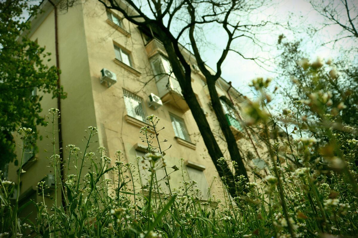 Дом в центре города. Фото автора. "В поиске", в интернете, указан как сталинский дом