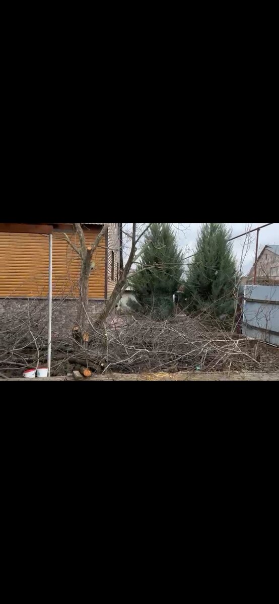 Ветки были в нескольких местах