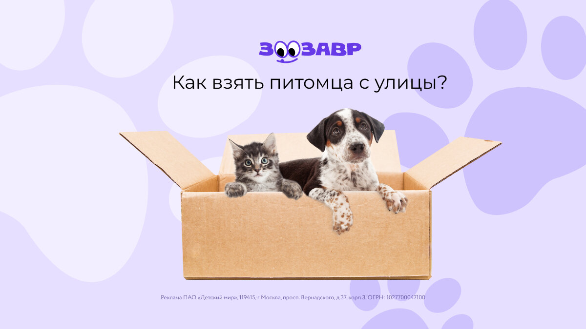 Беру хозяин