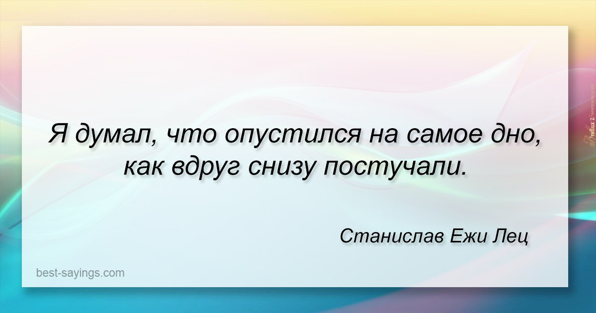 Снизу стучат. Цитаты про дно. Афоризмы про дно. Думал дно но снизу постучали. На дне но снизу постучали.