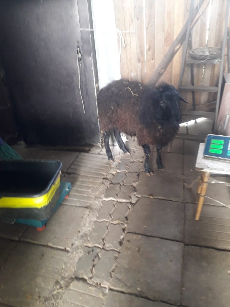 (фото из личного архива)