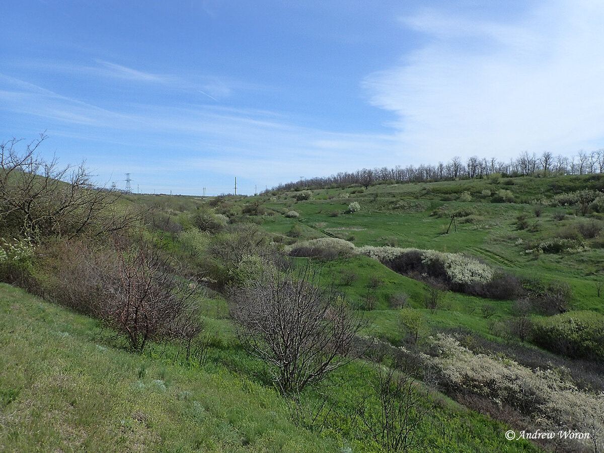 Краснодарский край хутор балка