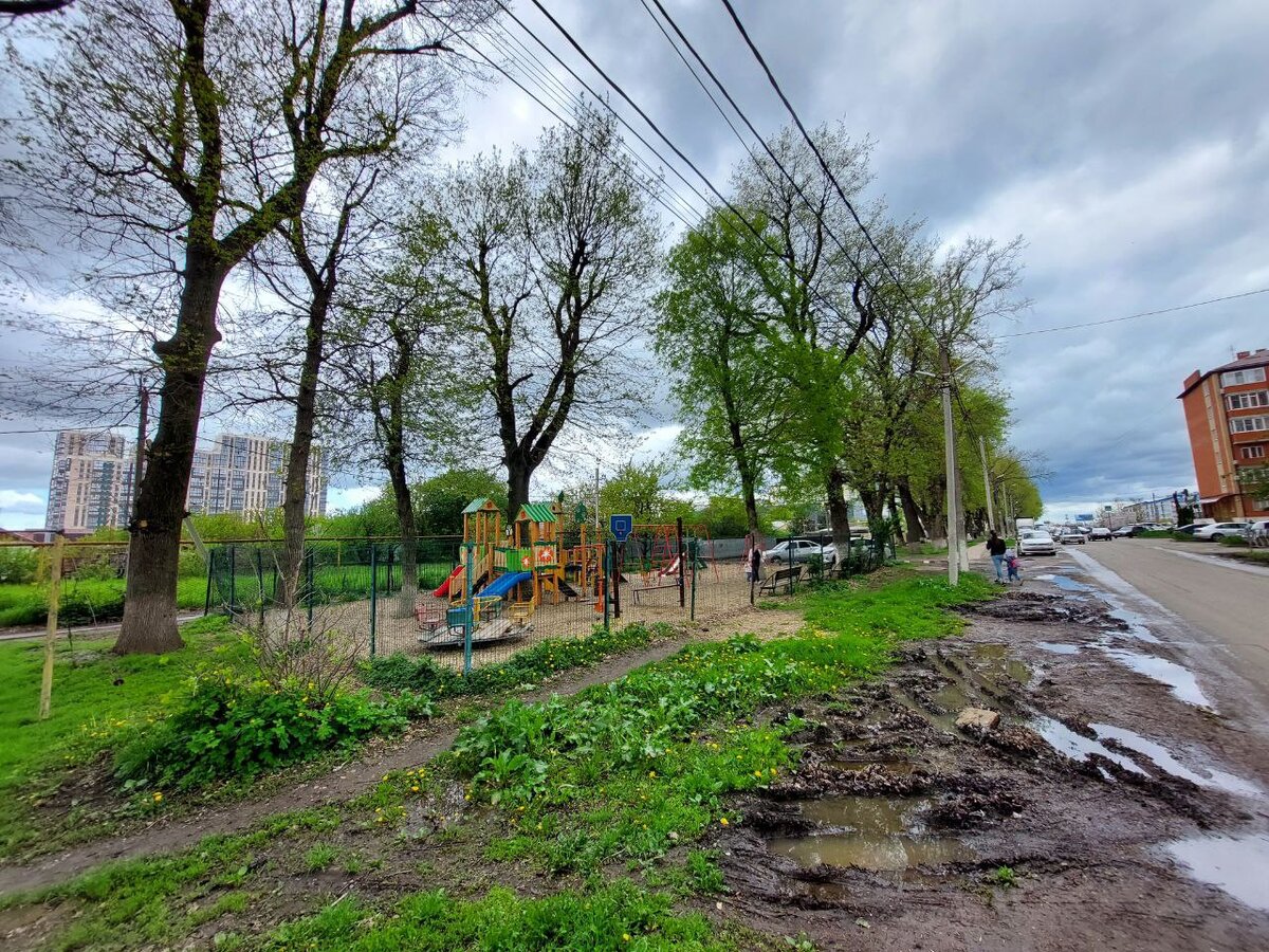 Фото: Максим Дмитриев, "Краснодарские известия"