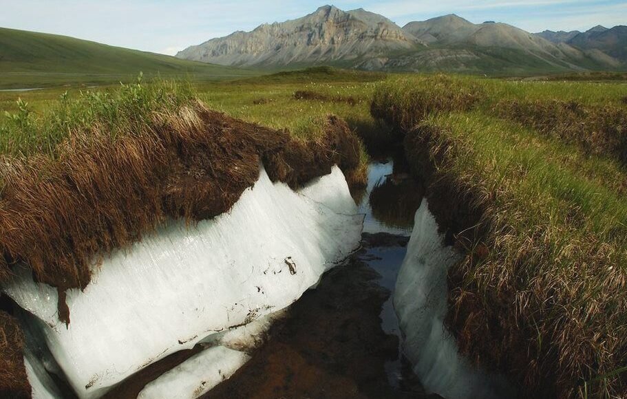    Фото: из открытых источников