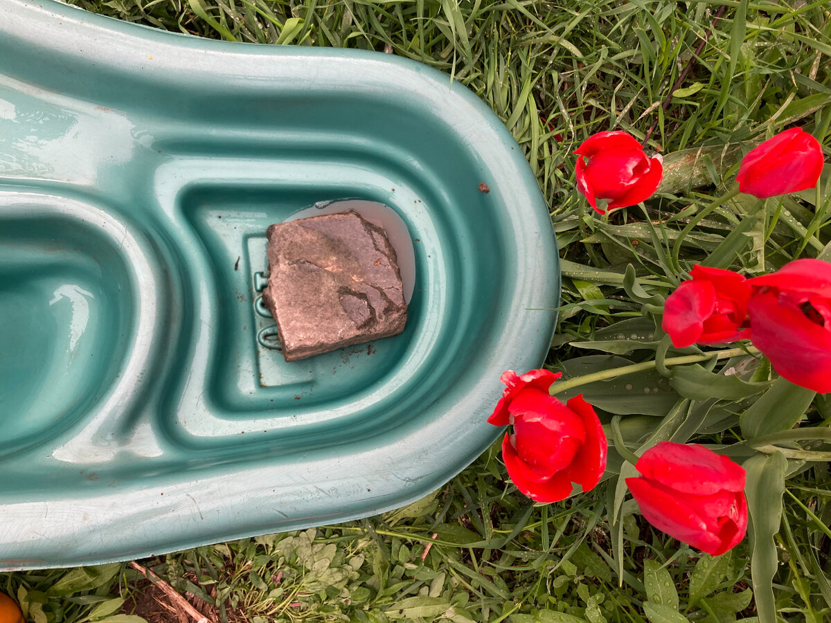 Наглядное подтверждение тому, как это выглядит без воды.  Видите, камень не совсем ровный, он с выступом. Прудик вот в порядок привожу. Прудик на месте, камень на месте, тюльпаны на месте, а Томы нет.