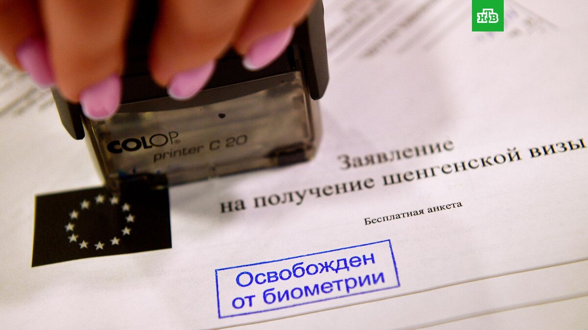    Фото: РИА Новости © 2023, Алексей Куденко