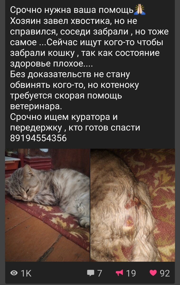 Чусовляне не смогли найти место ему...