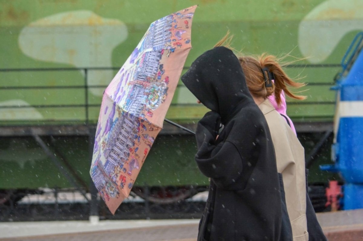    В Туле 28 апреля прогнозируют грозу и дождь