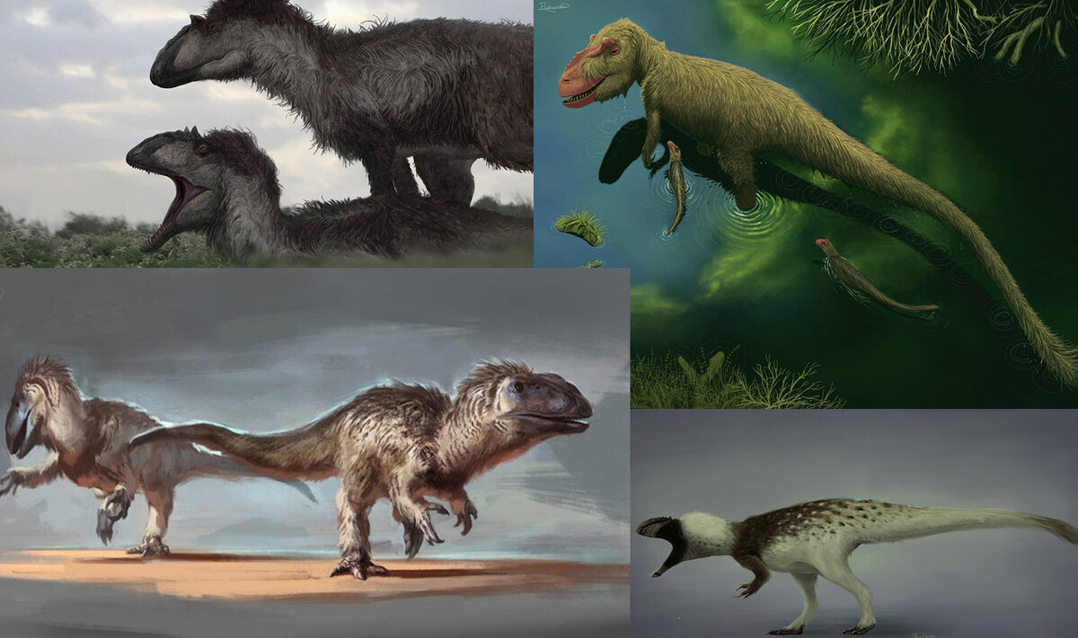 Из семейного альбома.