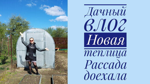 ДАЧНЫЙ ВЛОГ. НОВАЯ ТЕПЛИЦА. САД ЦВЕТЕТ 🌸 РАССАДА ДОЕХАЛА.