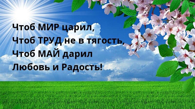 Эх хорошо бы так. 