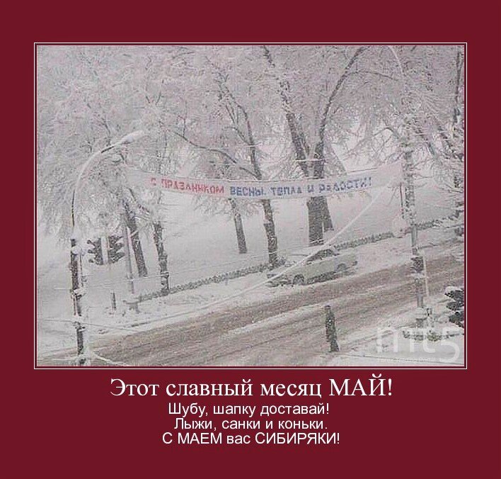 Фото из открытых источников. Благодарю автора шутки)