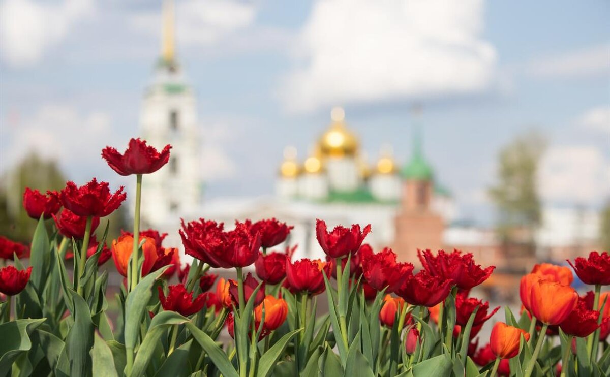 Когда потеплеет в туле в мае. С днем Победы туляки.