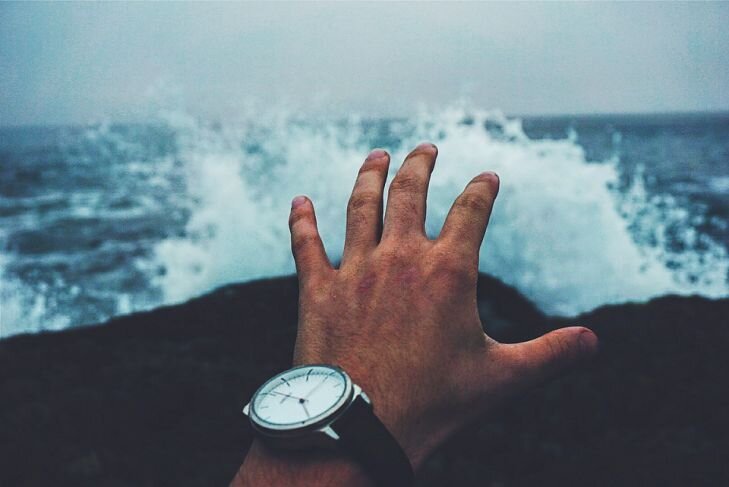 Фото: Pixabay