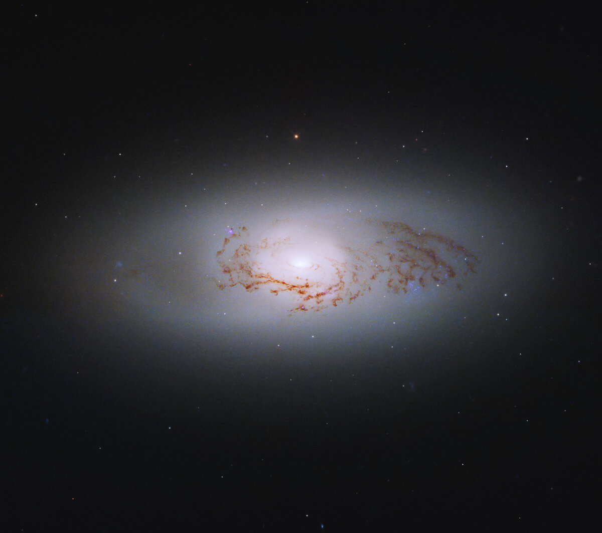 Космический телескоп НАСА "Хаббл" получил это изображение линзовидной галактики NGC 3489. Линзовидные галактики - это не совсем спиральные или эллиптические галактики.