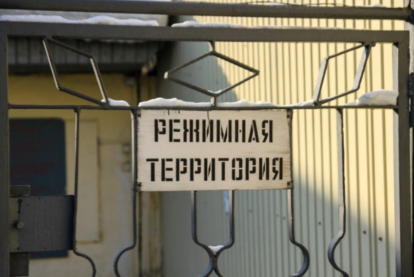 Фото из открытых источников