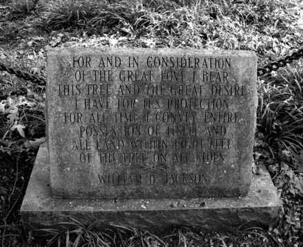 Табличку кстати уже новую установили