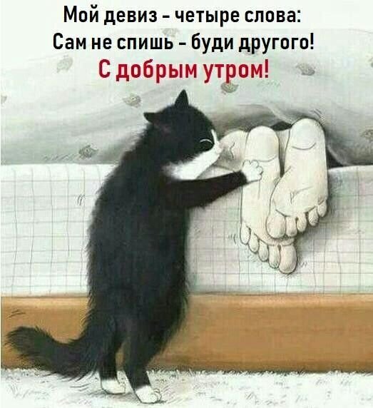 Фото с просторов интернета 