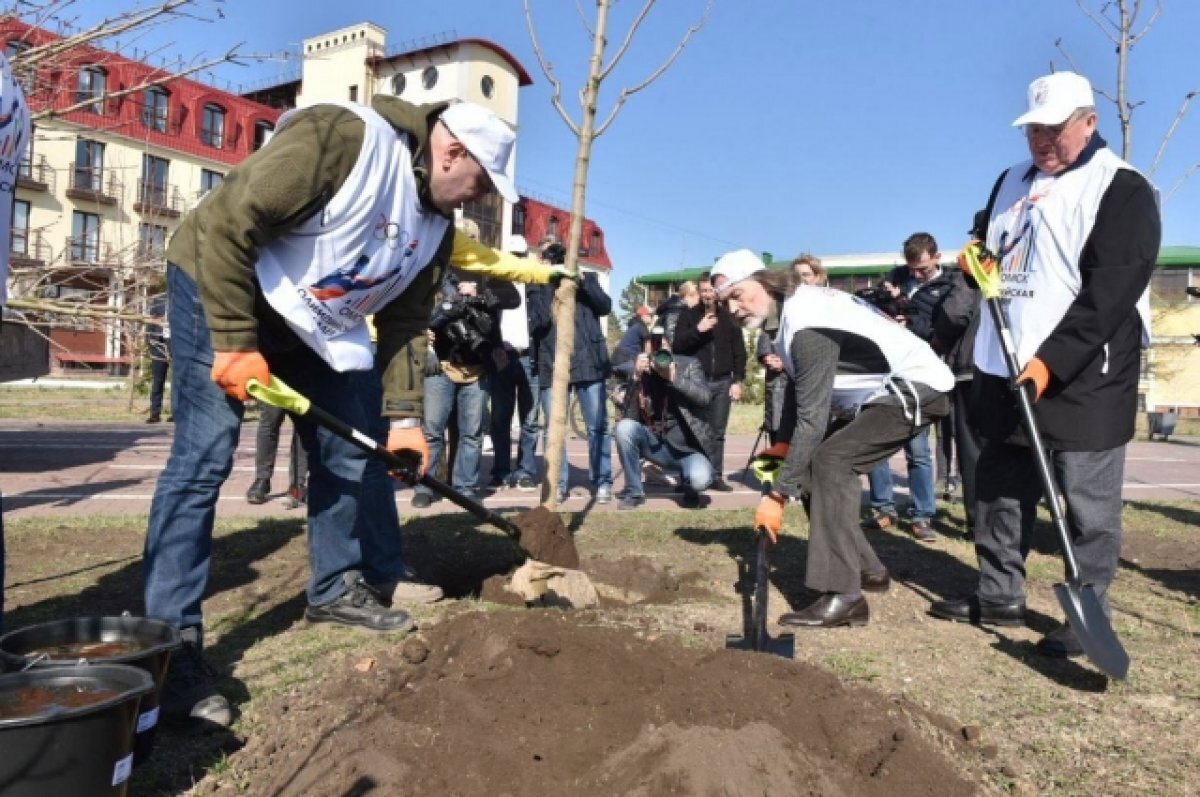    В посадке аллеи приняли участие инициатор и организаторы проекта.