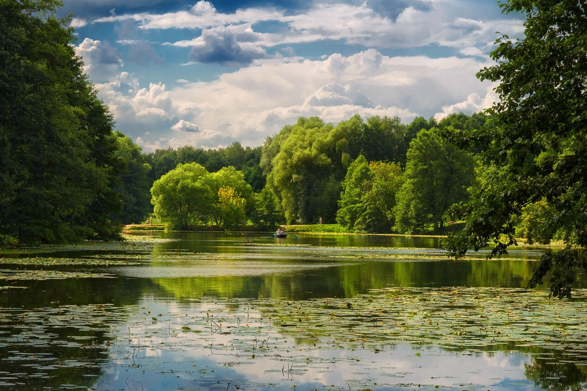 Кузьминки люблино парк фото