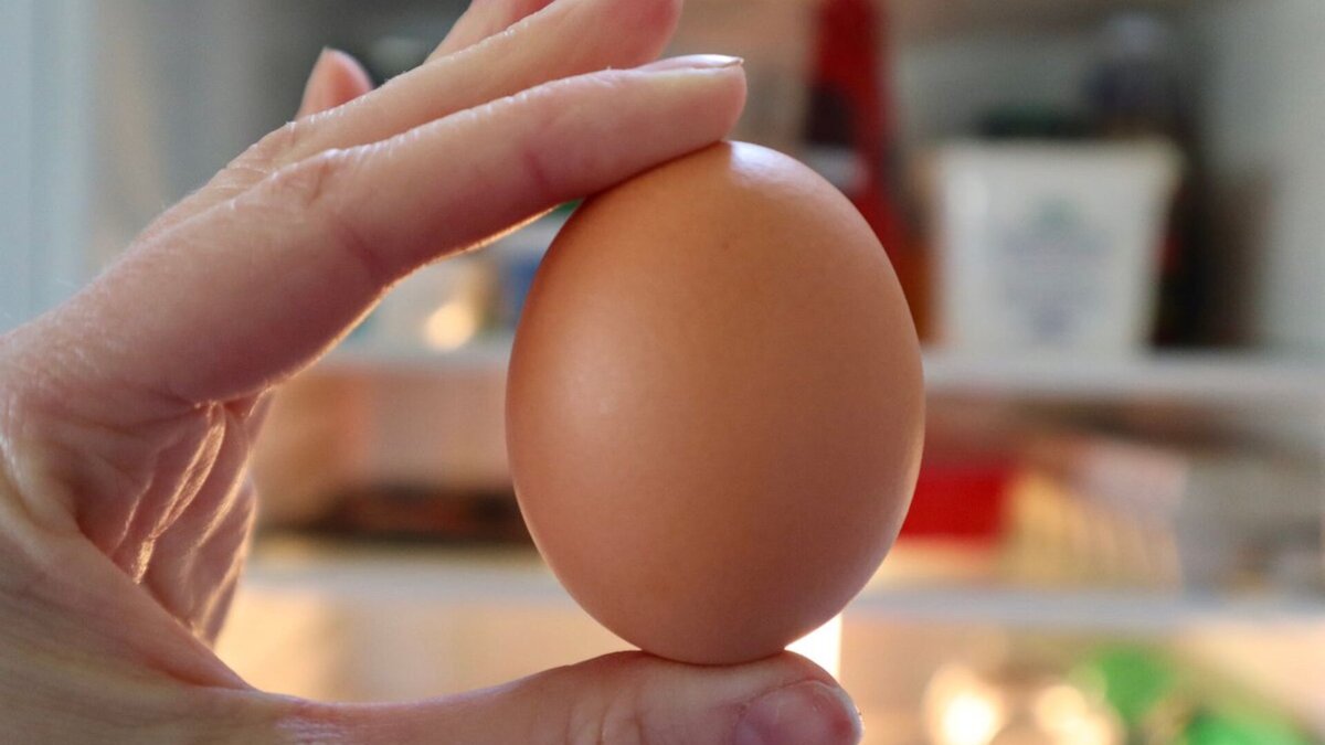   MJConline/Shutterstock.com