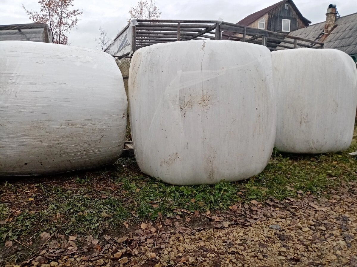 Только привезли. Теперь нам надо снять часть забора и закатить рулоны на помосты