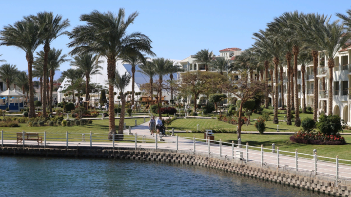 MAKSIM KONSTANTINOV/GLOBALLOOKPRESS