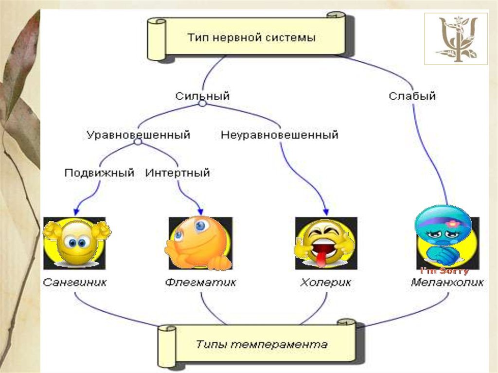 Три типа нервной системы. Слабый Тип нервной системы. Уравновешенный Тип нервной системы это. Сильный уравновешенный подвижный Тип нервной системы. Нервная система человека типы нервной системы.