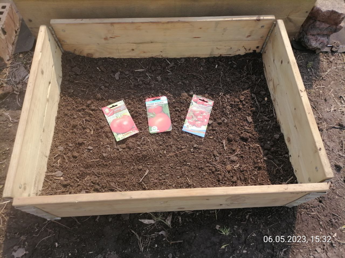 Сею внутри бортов от высокой грядки