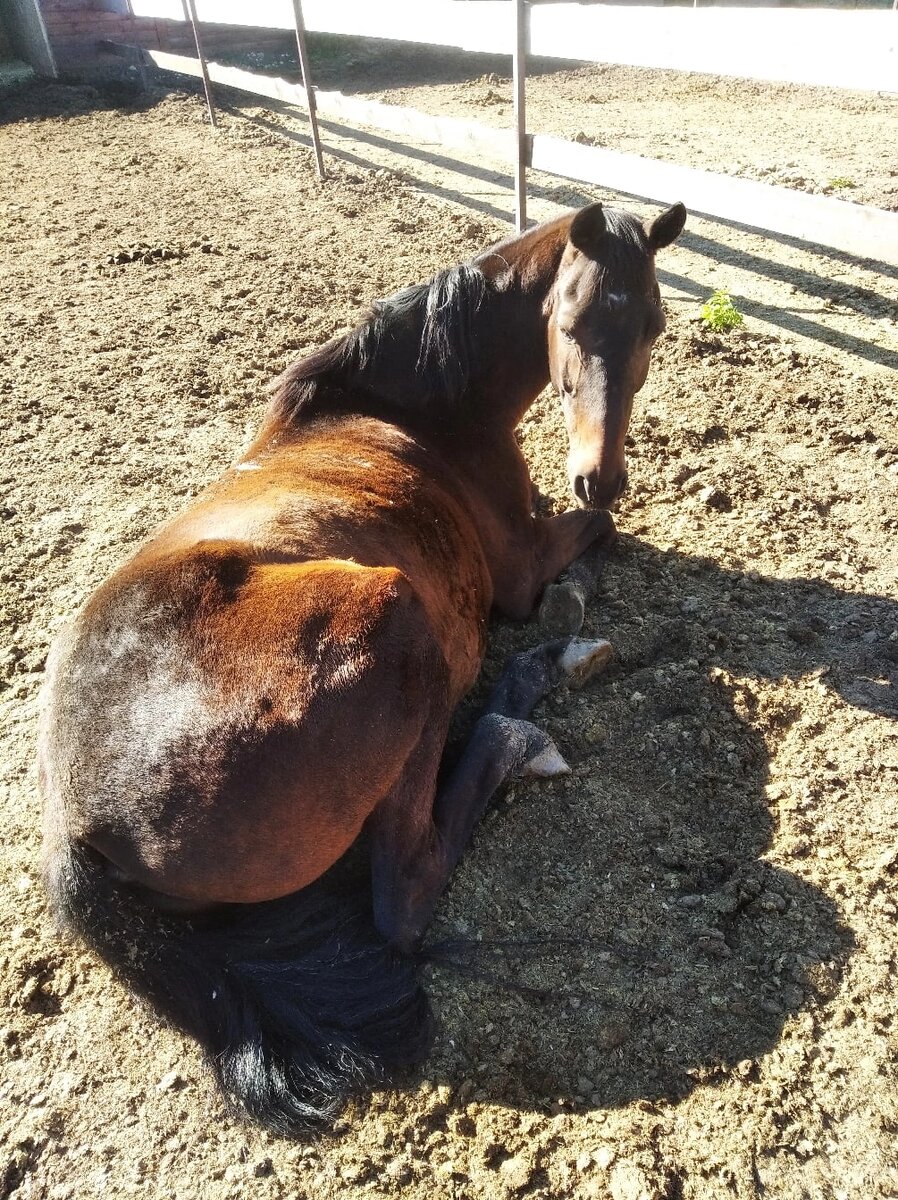 Чего разбудила???