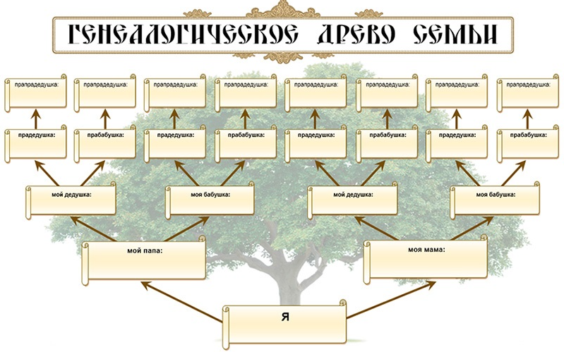 Шаблон родословной, которым вы можете воспользоваться.
