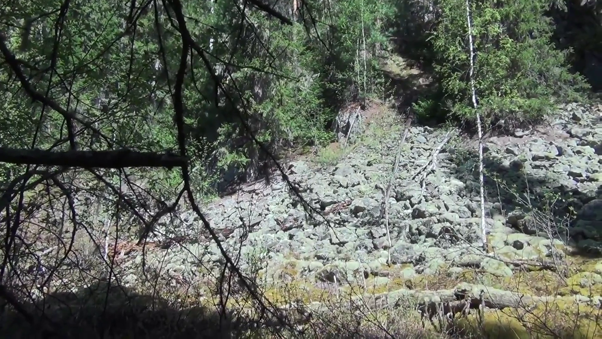 Каменная осыпь тут водятся Змеи Гадюка Никольского и любит греться медведь после того как встал с берлоги  - (смотрите на видео внизу статьи)