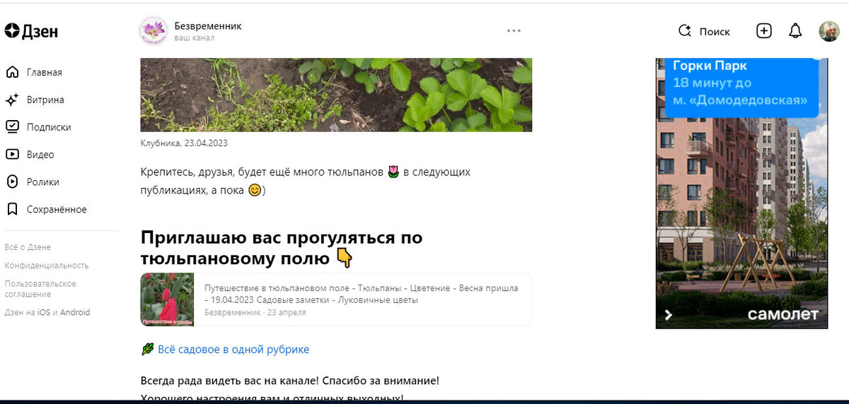 Приглашение на тюльпаны