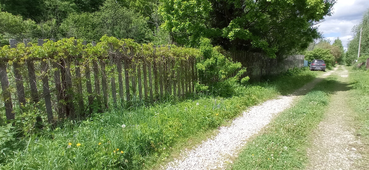 06 июня первые впечатления. 