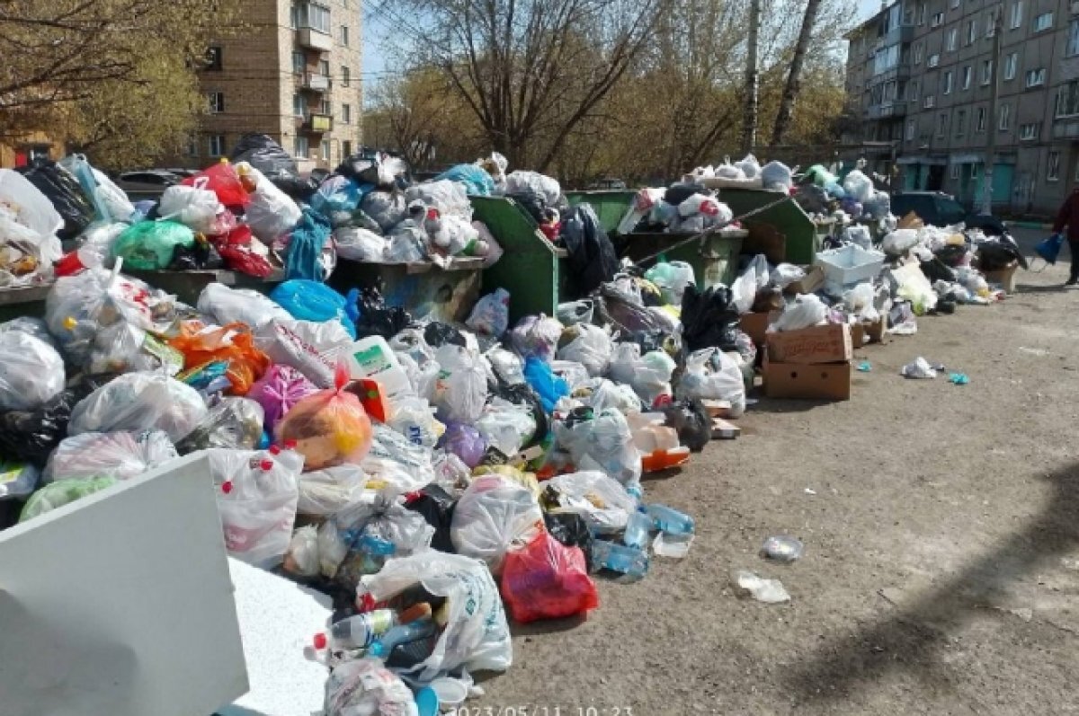 В Красноярске жители улицы Гладкова жалуются на переполненные мусорные баки  | АиФ–Красноярск | Дзен