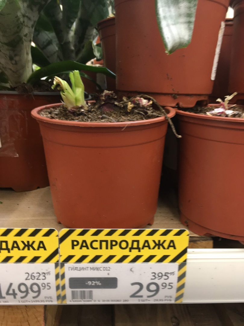 Фото с распродажи в Ашане