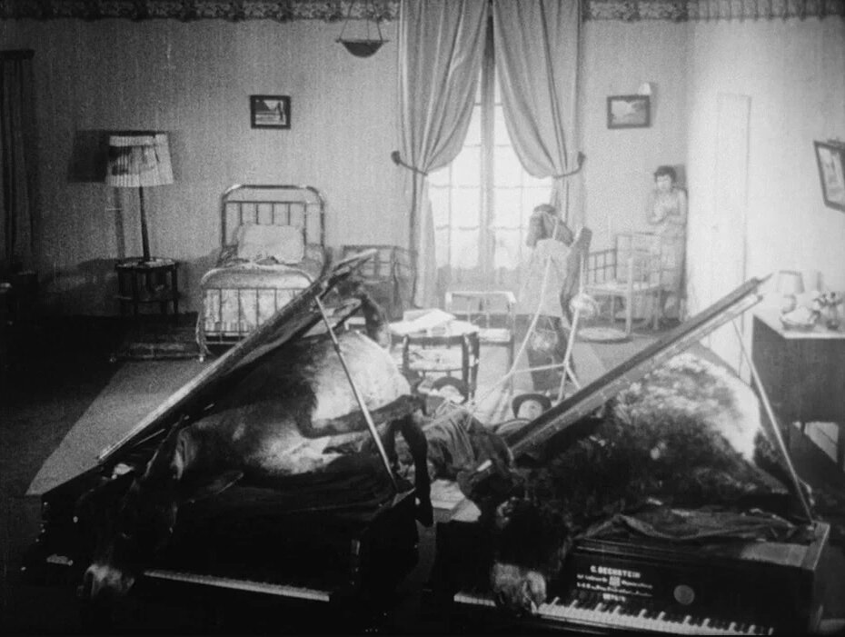 Неизвестно, пострадали ли какие-то животные во время съемок фильма