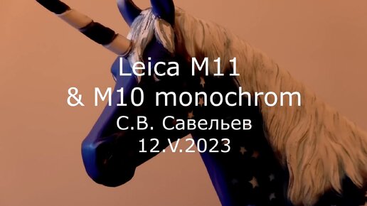 С.В. Савельев. Leica M11 & M10 monochrom - [20230512]