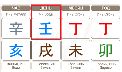 Пример элемента личности Вода Ян в карте бацзы