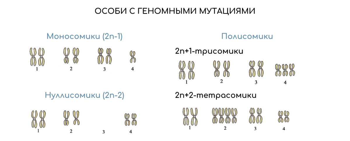 Мутационные тесты