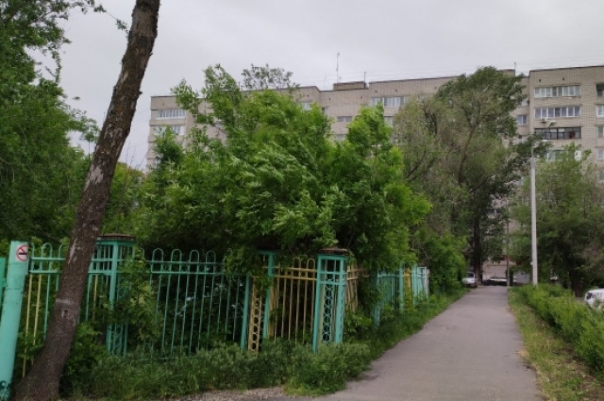    Синоптики рассказали о погоде до конца мая в Волгоградской области