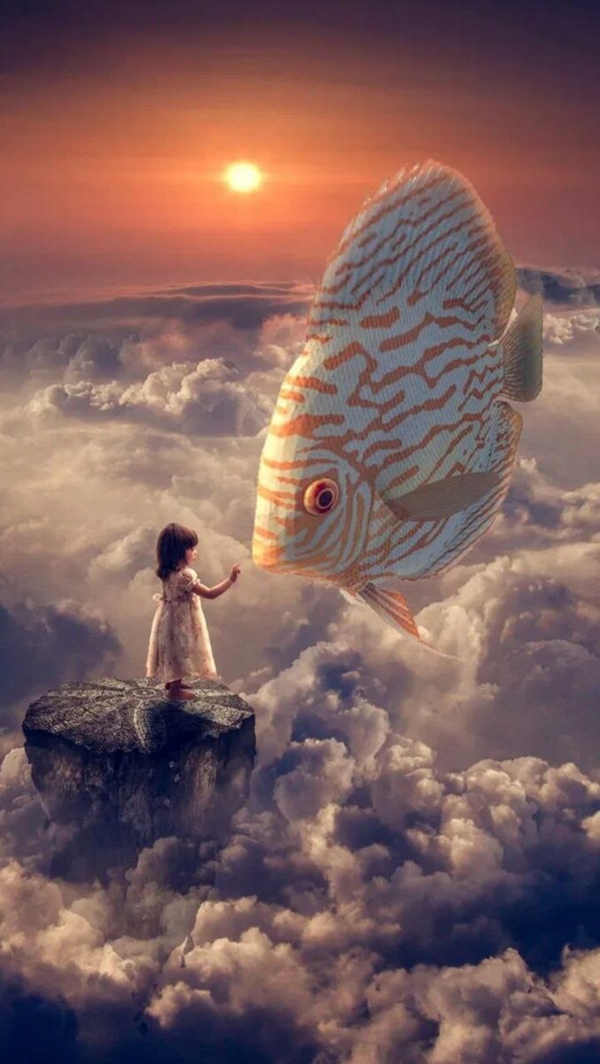 Из открытых источников.