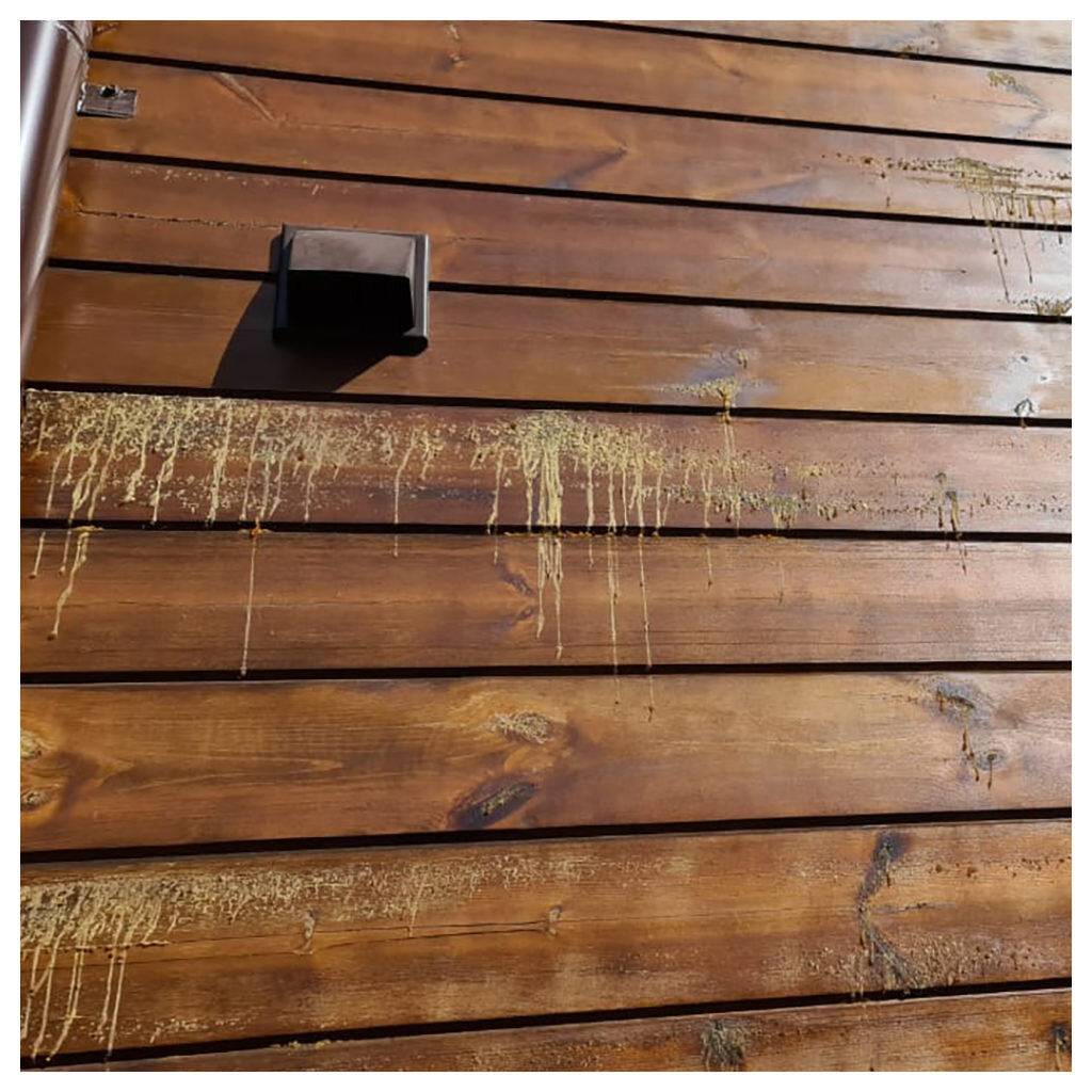 Испорченная древесина под лучами солнца