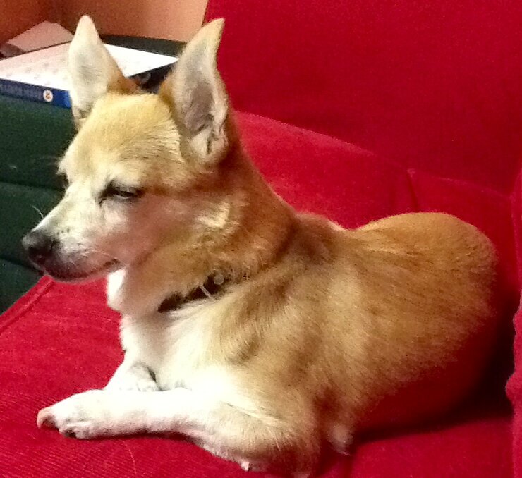 Здравствуйте, дорогие мои! Всех обнял.... Из цикла: и жизнь, и слёзы, и любовь....