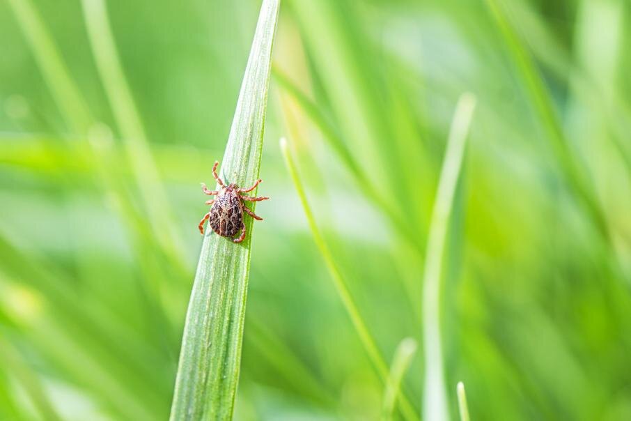    Фото: iStock