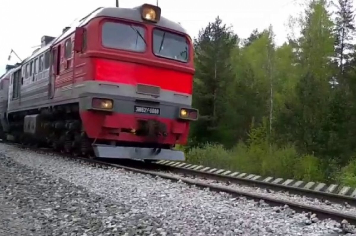    Летом запустят прямой поезд из Сыктывкара в Архангельск