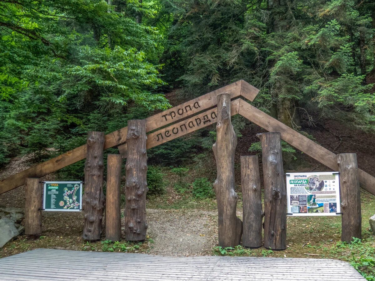 Кавказский заповедник кордон Лагонаки