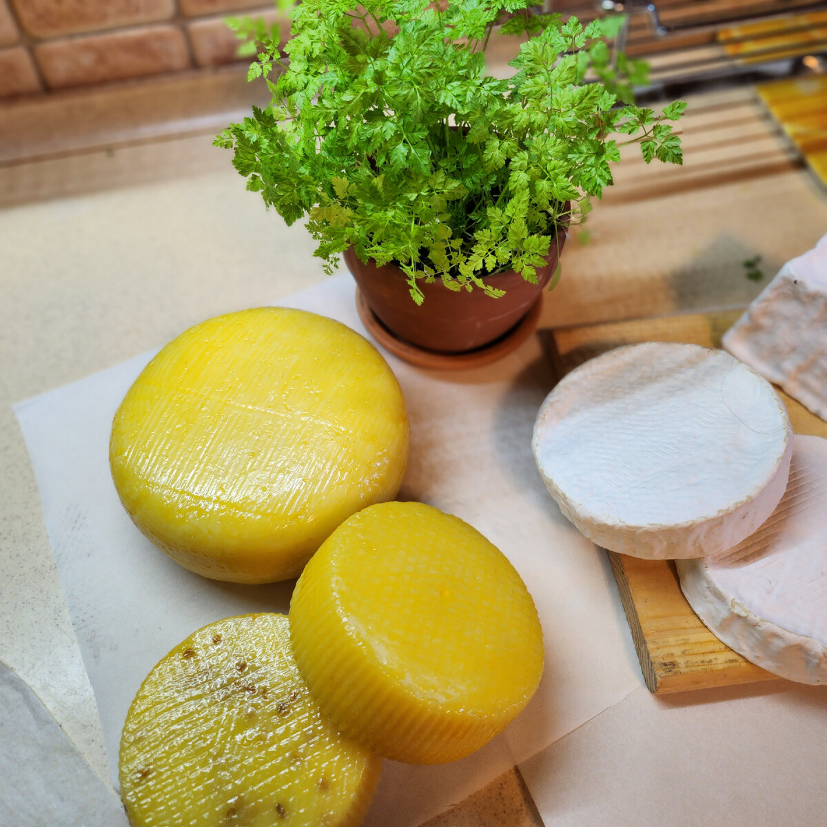 Буйство сыров.